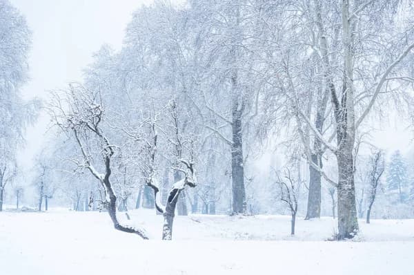 Mesmerizing Kashmir — gallery view 3