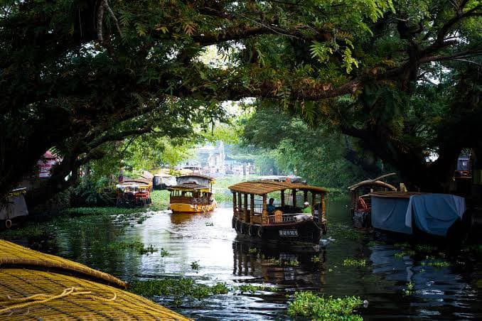 Kerala Escape — gallery view 4