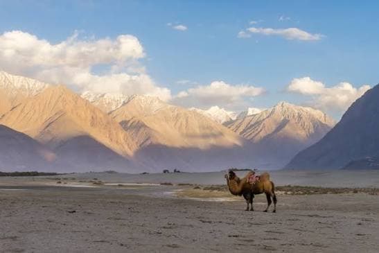 Ladakh Himalayan Escape — gallery view 7