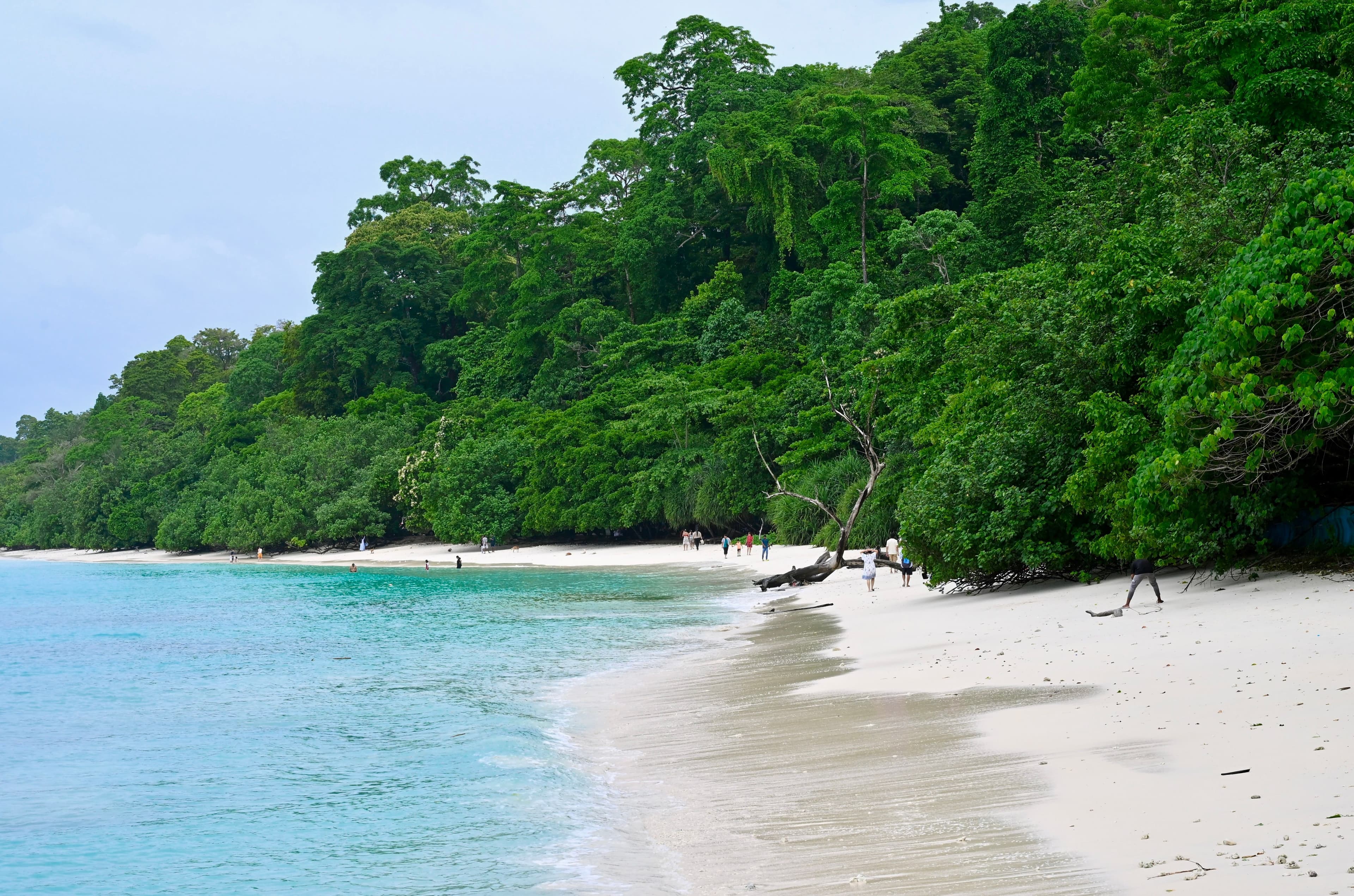 Andaman Tropical Escape — gallery view 1
