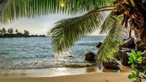 Goa Budget Escape — gallery view 8