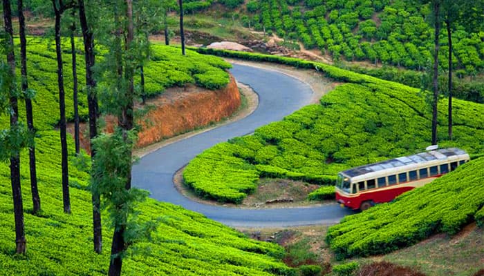 Kerala Escape — gallery view 5