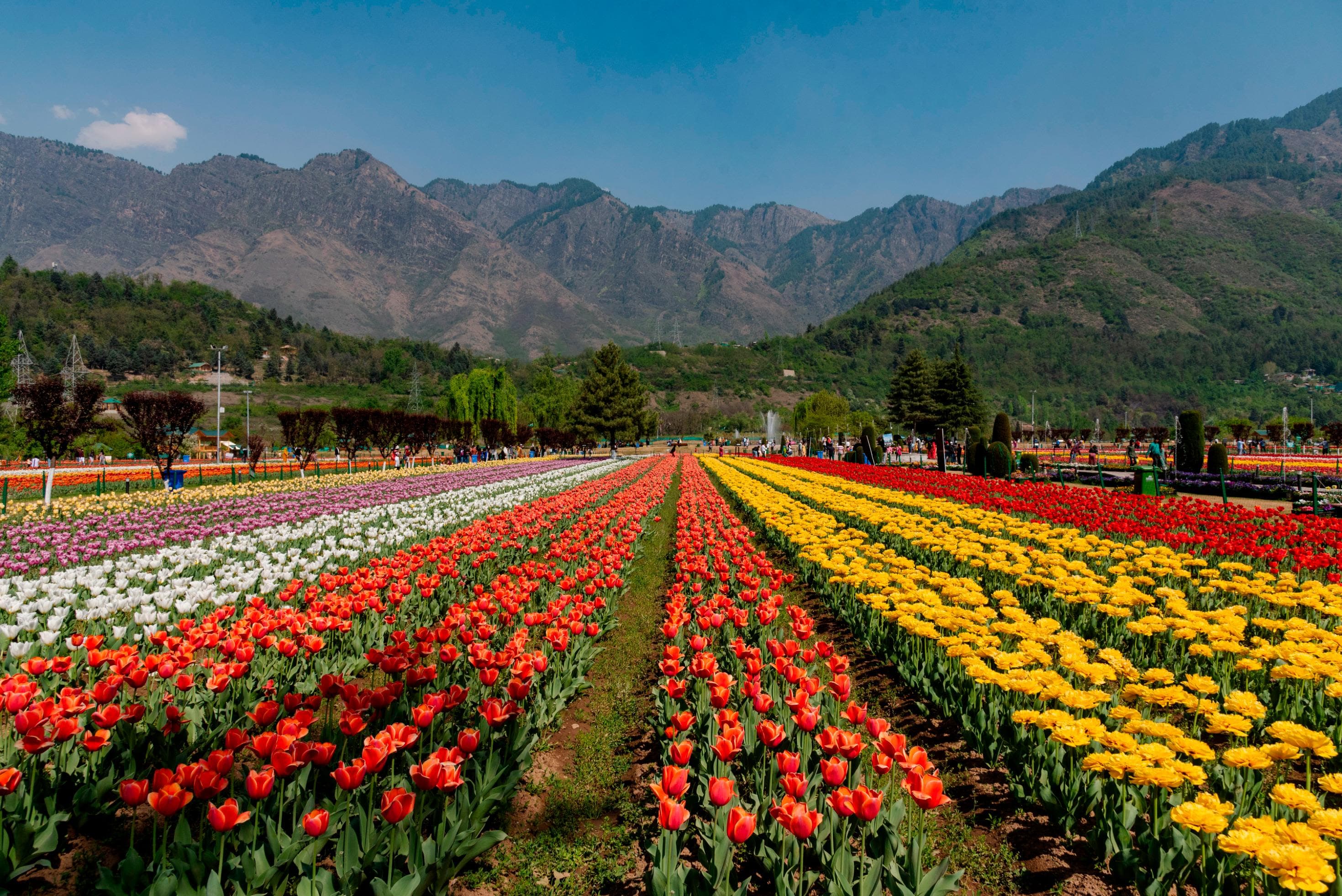 Mesmerizing Kashmir — gallery view 4