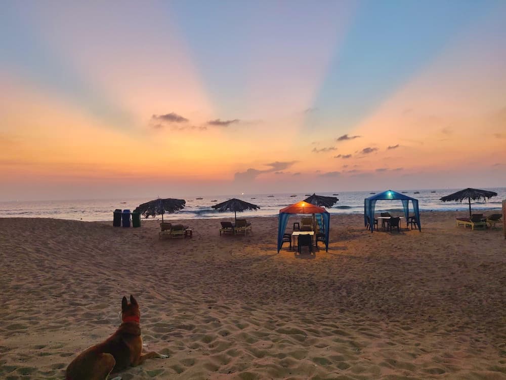 Goa — traveller story from Sara & Rohan Kapoor